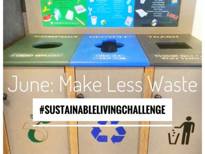 The June Mission for the Sustainable Living Challenge is to Make Less Waste